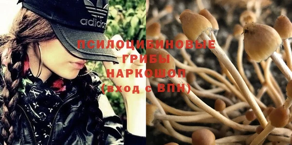круглые Алексин
