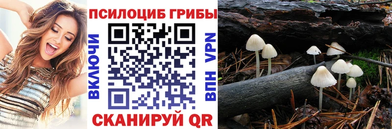 mega как войти  Наволоки  Галлюциногенные грибы ЛСД 